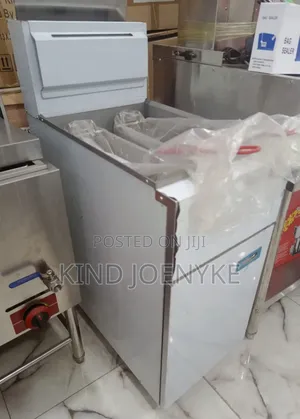 Photo - Standing 25l Electric /Gas Fryer
