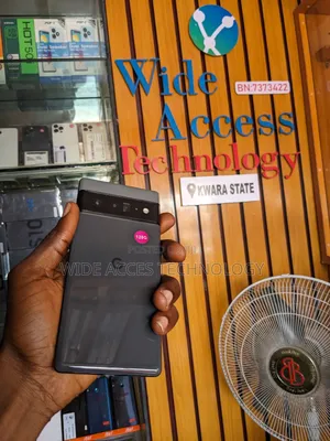 Google Pixel 6 Pro 128 GB Gray