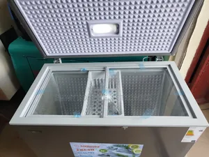 Snowsea Deep Freezer Low Voltage 220l