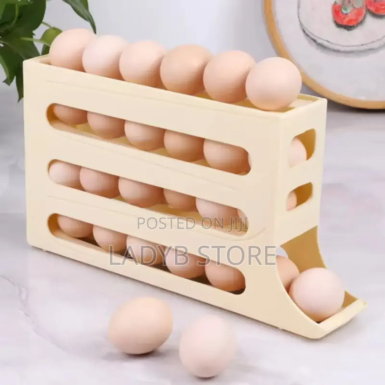 Egg Rack Container