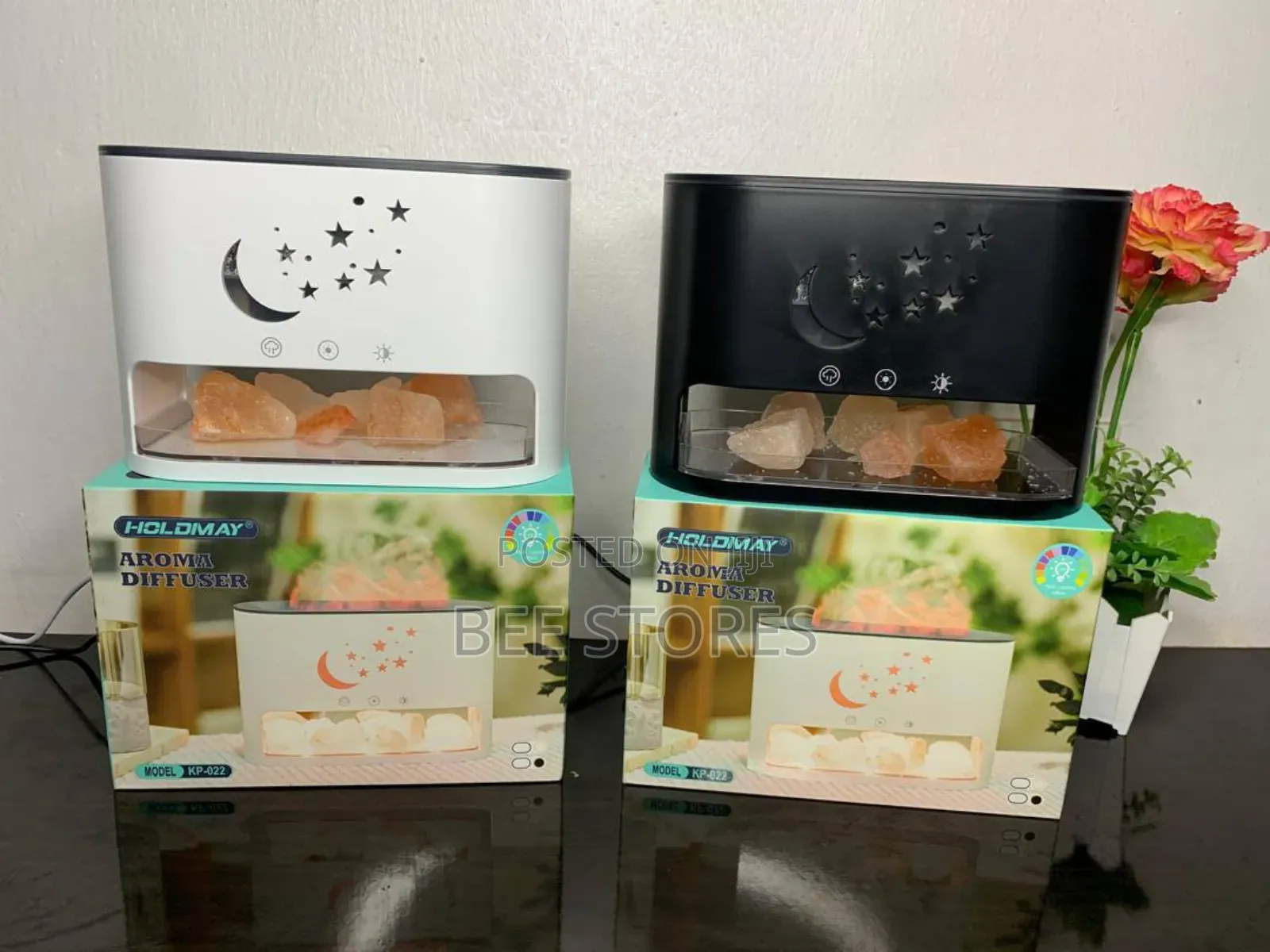 Aroma Diffuser Humidifier With Salty Rock