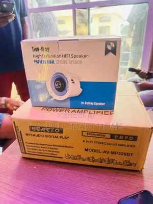 Boss Ceiling Speaker And Bestzo Amplifier