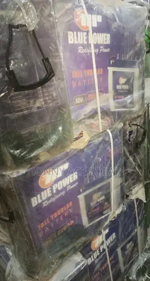 Blue Power 220ah 12v Tubular Battery