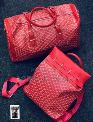 Goyard Handbag and Backpack