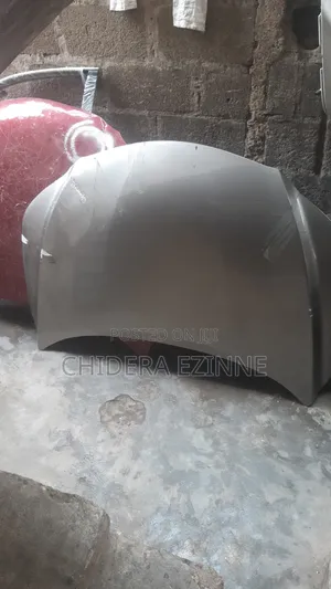 Leuxs Rx350 2020 Model Bonnet