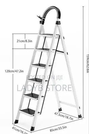 6 Steps Multiple Use Ladder