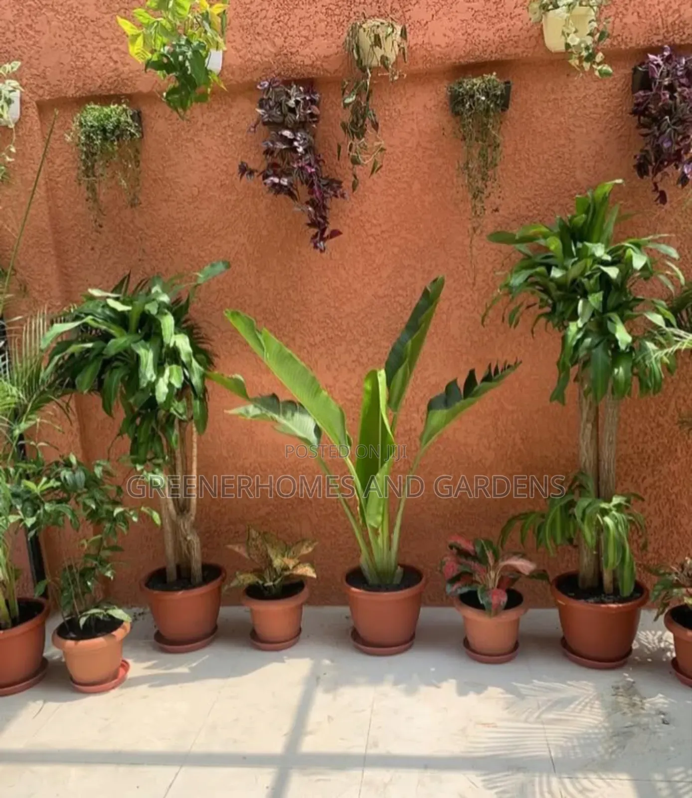 Flower Pots Design