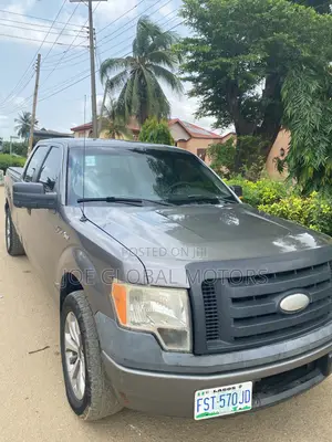 Ford F-150 2010 Gray