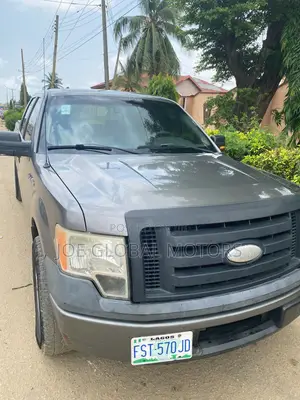 Ford F-150 2010 Gray