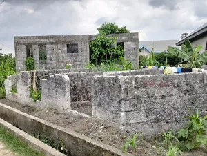 Photo - 3bdrm Bungalow in Omunwei, Igwuruta, for sale