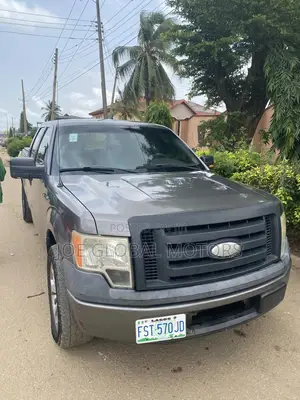 Ford F-150 2010 Gray