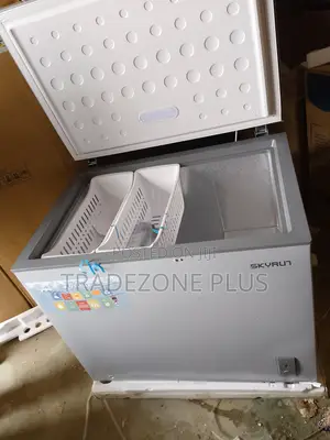 Maximize Storage With Skyrun 250l