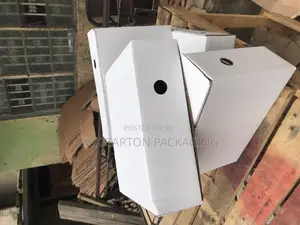 Souvenir White Carton Box