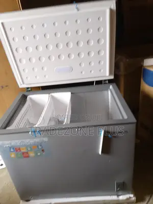 Skyrun 250l: Your Freezer for Every Occasion