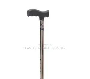 Wanderer’S Staff