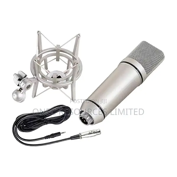 Professional Studio Condenser Microphone