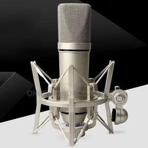 Professional Studio Condenser Microphone