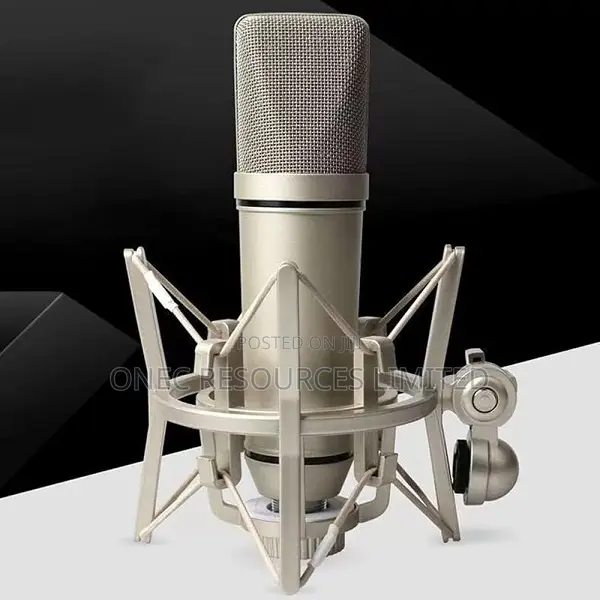 Professional Studio Condenser Microphone
