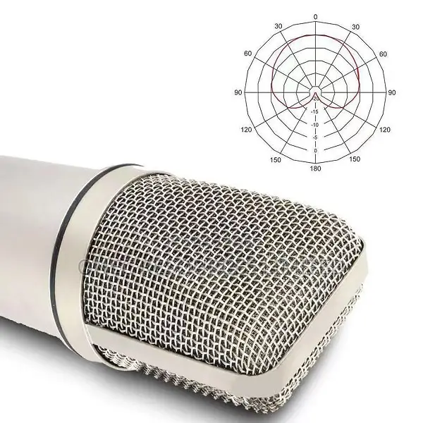 Professional Studio Condenser Microphone