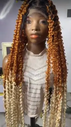 Two Tone Butterfly Loc Braided Wig