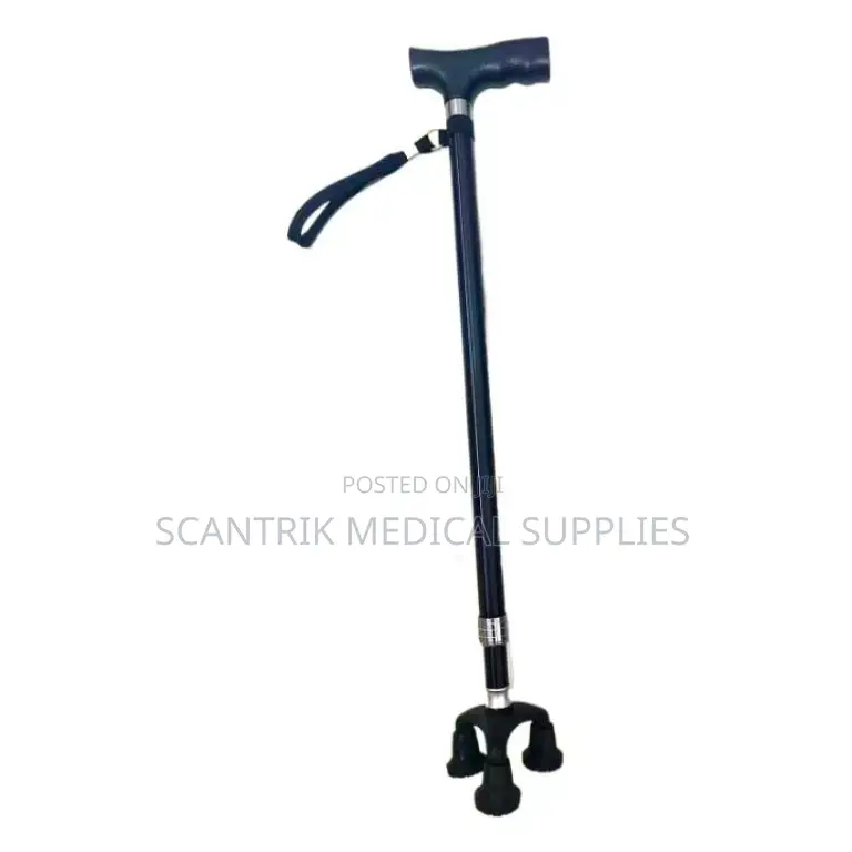 Stride Stick