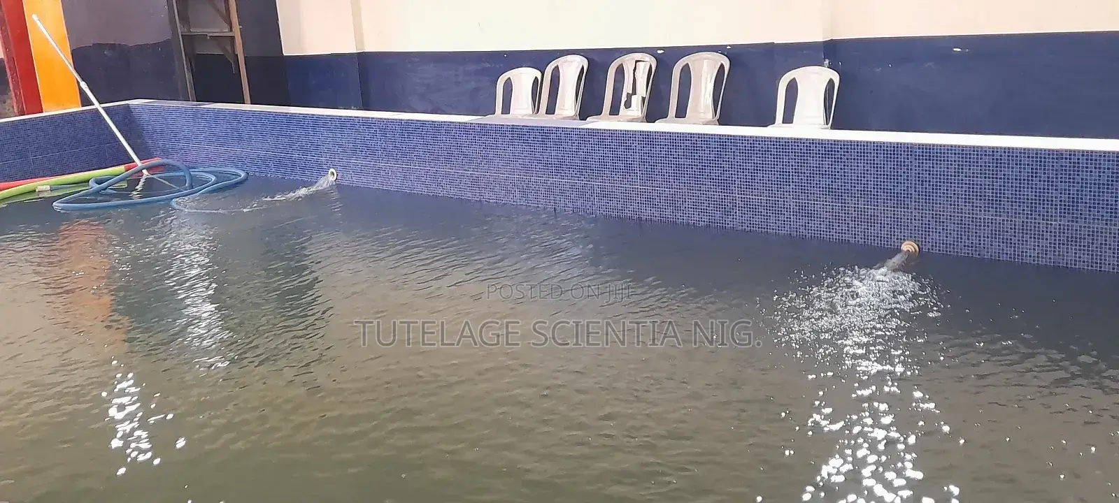 Swimming Pool Regular Treatment, Cleaning and Maintenance