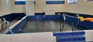Swimming Pool Regular Treatment, Cleaning and Maintenance
