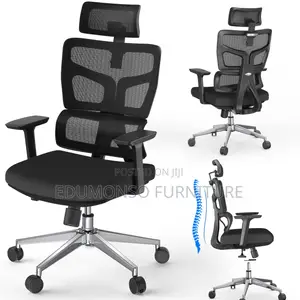 Ergonomic Mesh Office Chair With 3d Lumbar Support