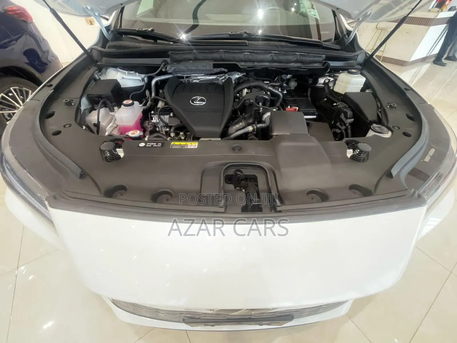 Lexus RX 2023 White
