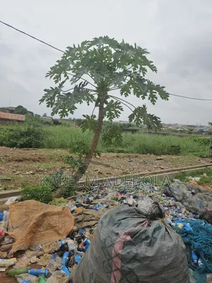 Residential Land at Emmanuel Keshi Street Magodo Phase 2
