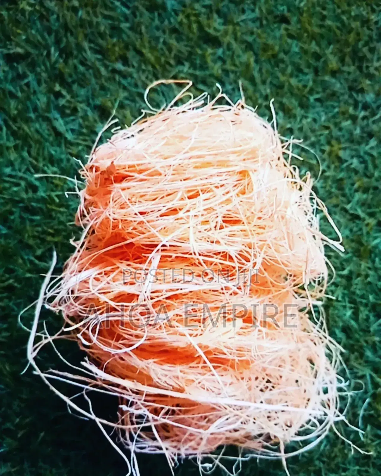 Local Sponge (Kan Kan Ibile)