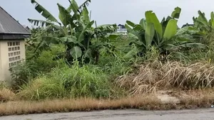 For Sale: 180 Cofo Plots Inside NNPC Quarters Akpajo, Ph