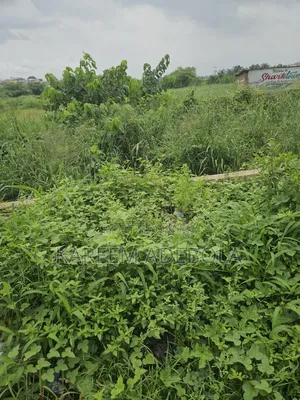 Residential Land in Gracefield Estate Chevron Lekki