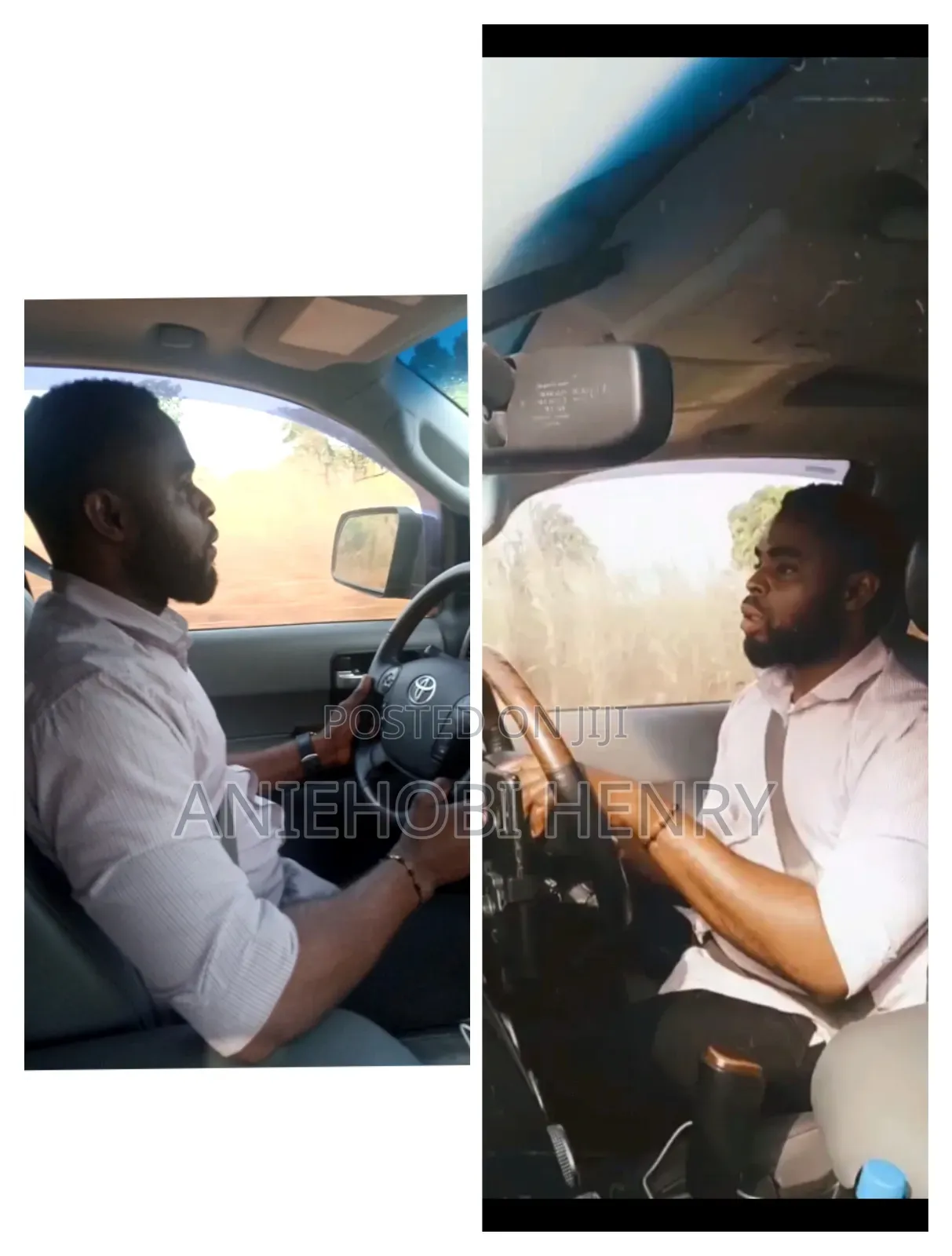 Professional Driver