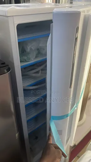 Original New Lg Standing Freezer (6steps) 110w for Ice Block