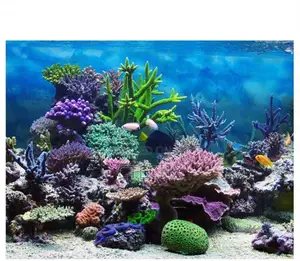 New Aquarium Background, 3d Effect Undersea( 61 * 41cm)