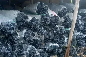 Clean Charcoal 50kg Bag