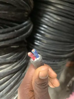 6mm 2 Core Nigeria Armored Cable