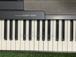 CDP-100 Durable Casio Piano