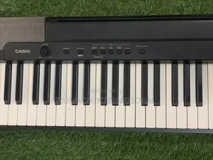 CDP-100 Durable Casio Piano