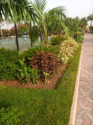 Flower Beds Installation