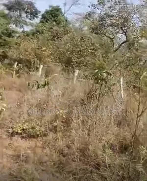 Photo - Farm Land in Ogun State