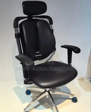 New Modern Orthopedic Chair