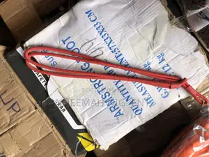 Security Lanyard