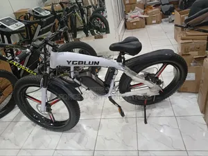 Electric Exercise Bike