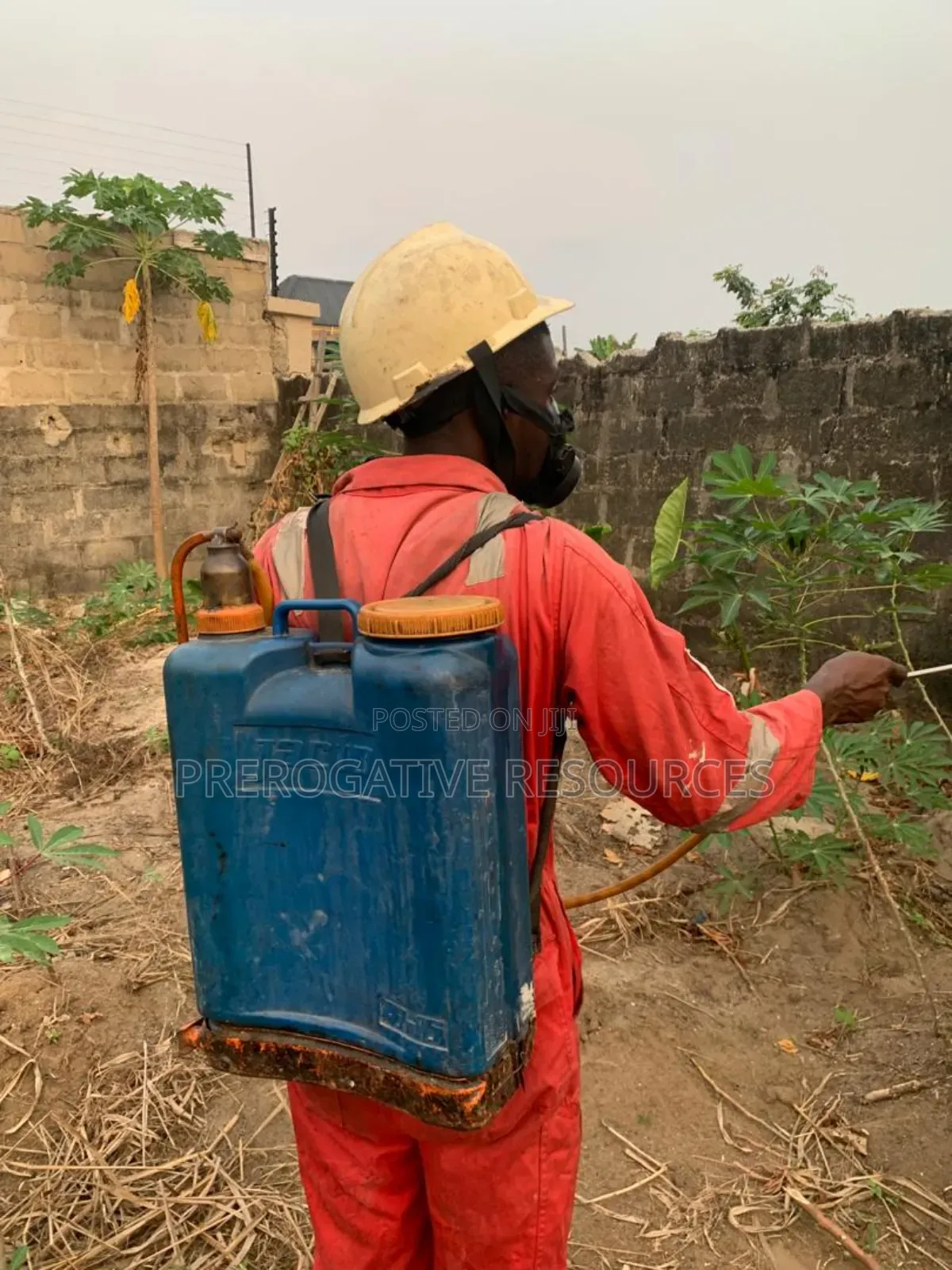 Fumigation/Pest Control
