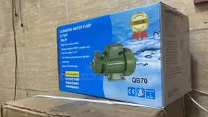 0.75hp Oxmarine Surface Pump