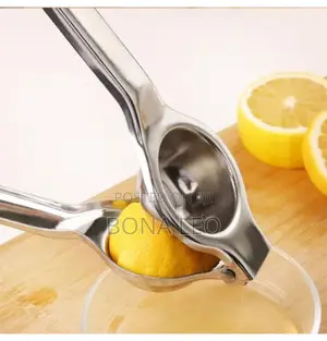 Stainless Lemon and Garlic Press
