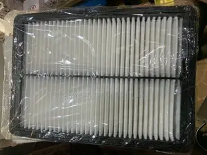 Genuine Air Filter Hyundai and Kia Available 