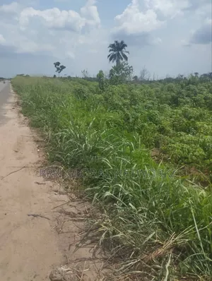 15 Plots Of Lands Close To Zion Ground